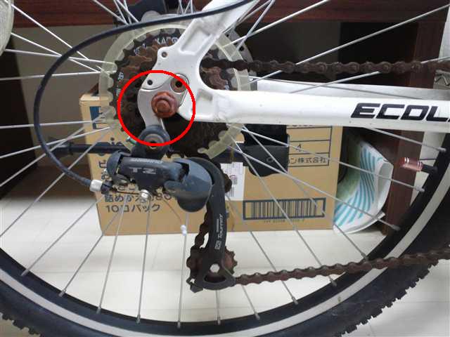 MTB